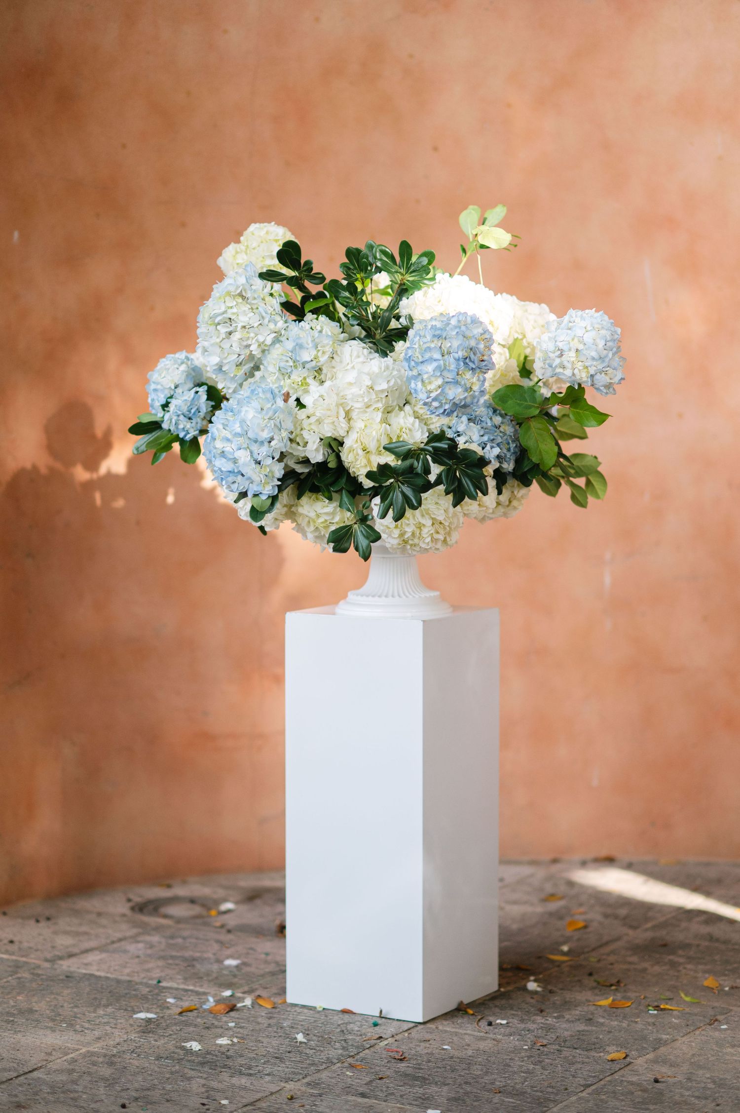 White and blue hydrangeas arranged in modern white cube vases against terracotta wall.