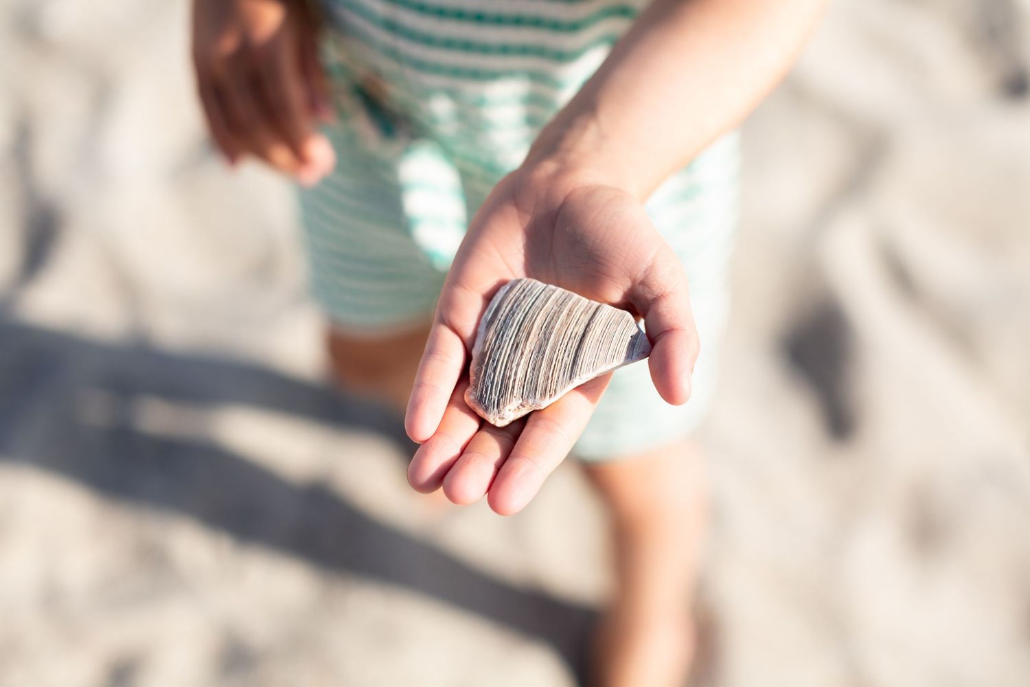 Close-up of hands holding small stones on a sandy beach.