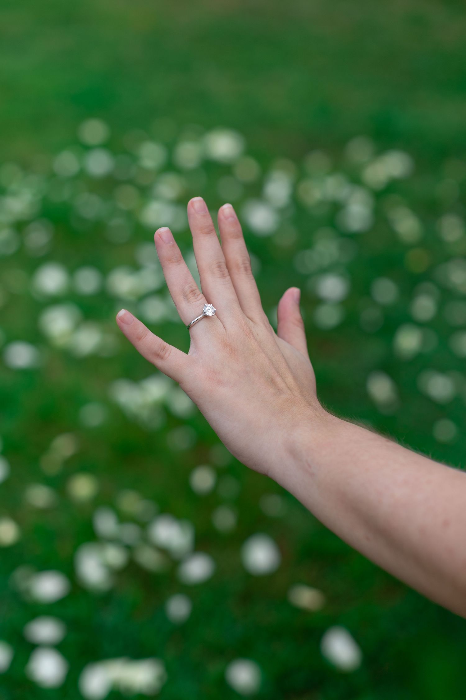 Close-up of a hand wearing a diamond solitaire engagement ring against a green field with white flowers.