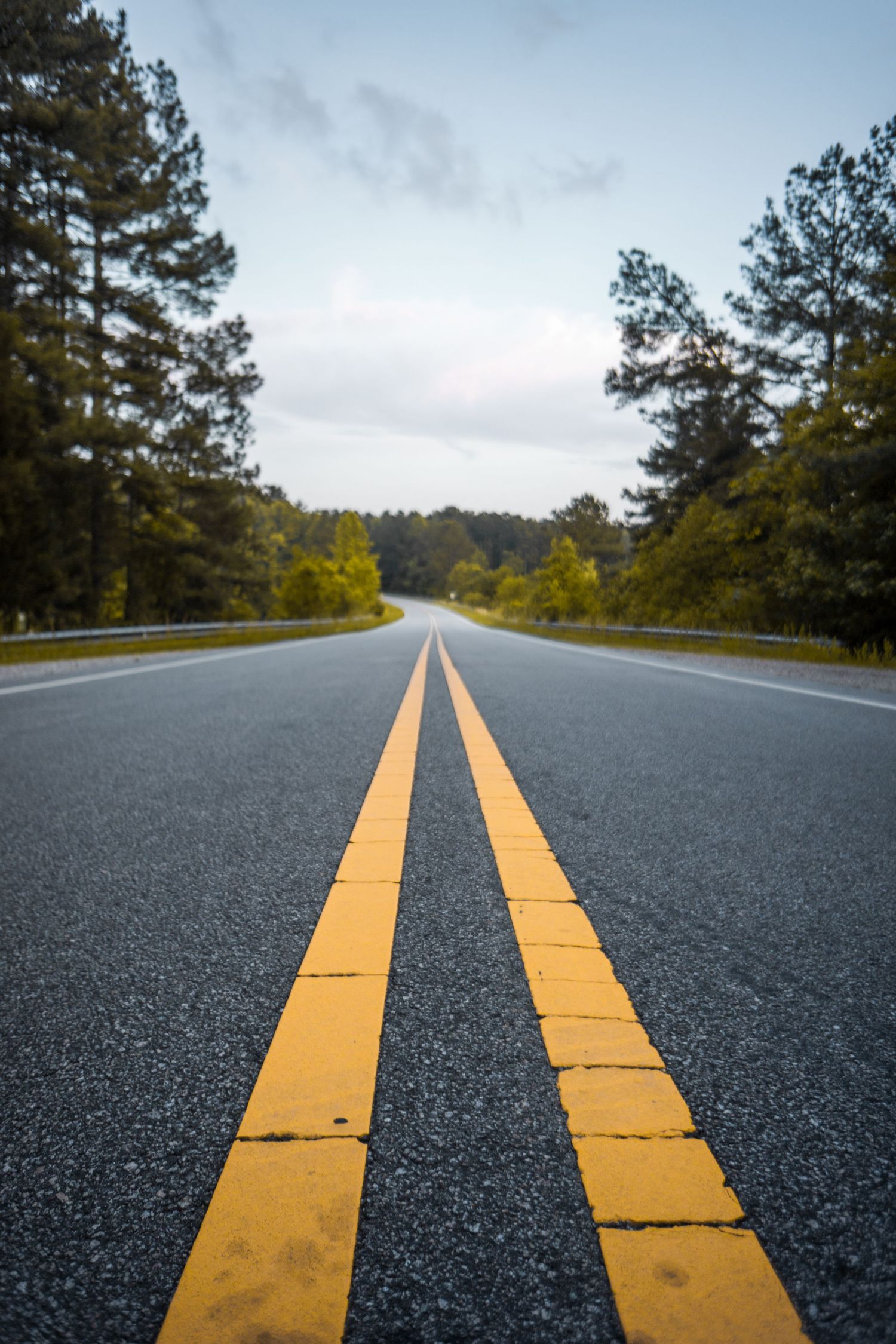 Low angle view of empty two-lane asphalt road with yellow center lines stretching through green pine forest.
