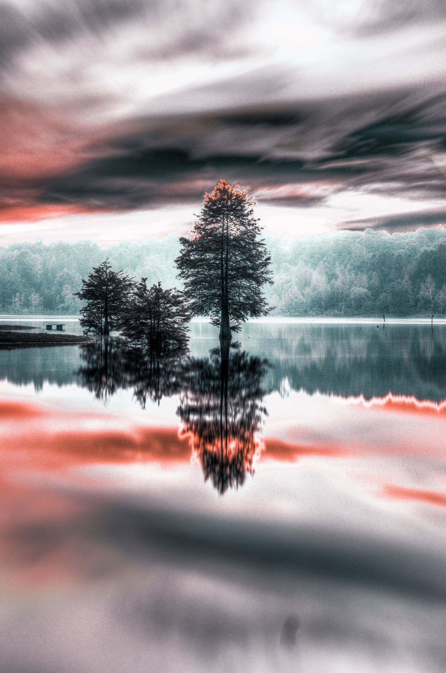 Dramatic fine art photo of lone trees reflected in still lake water under moody red and grey cloudy sky.