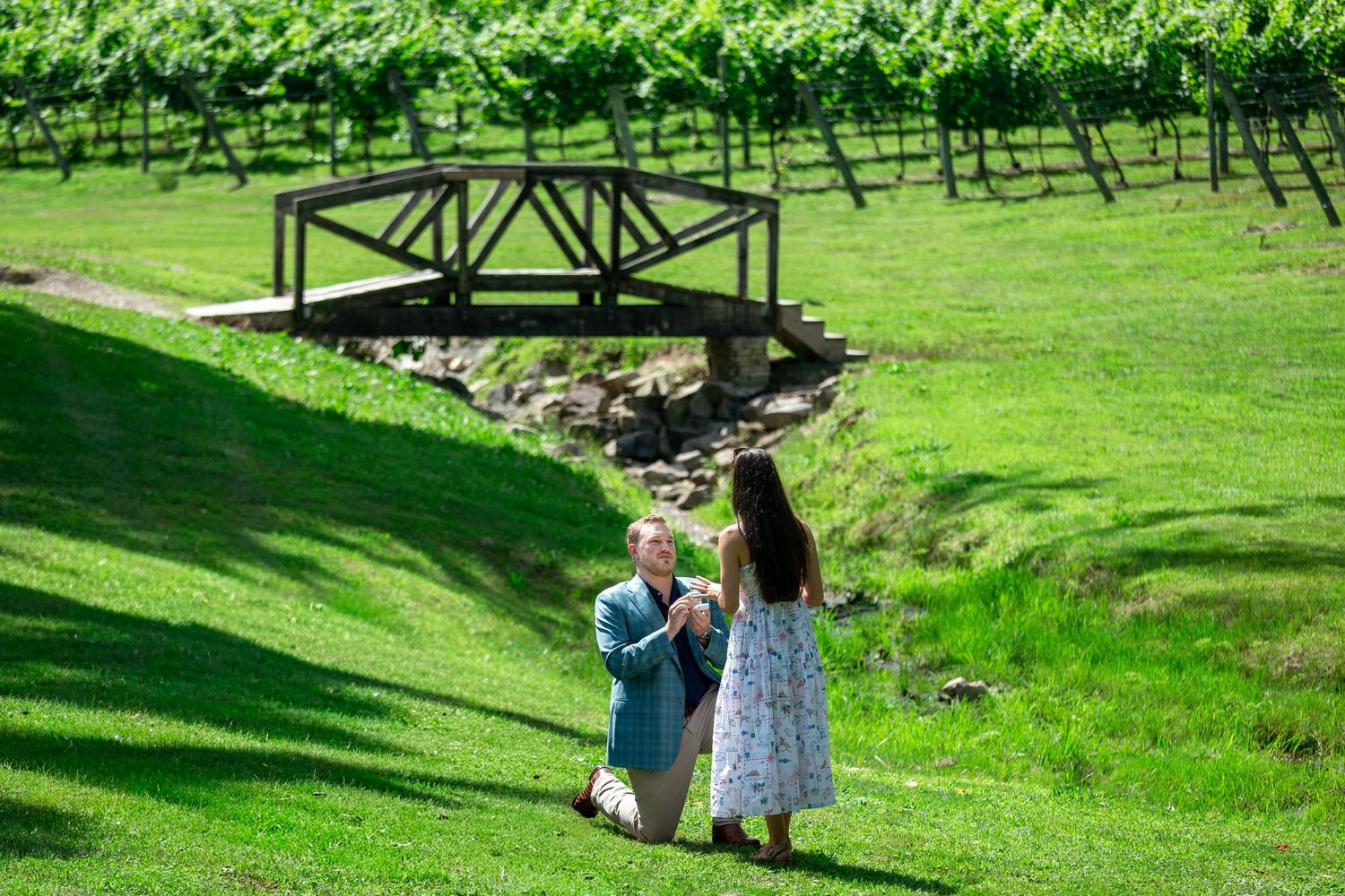Man proposes to woman on one knee at a lush green vineyard with a wooden bridge backdrop on a sunny day.