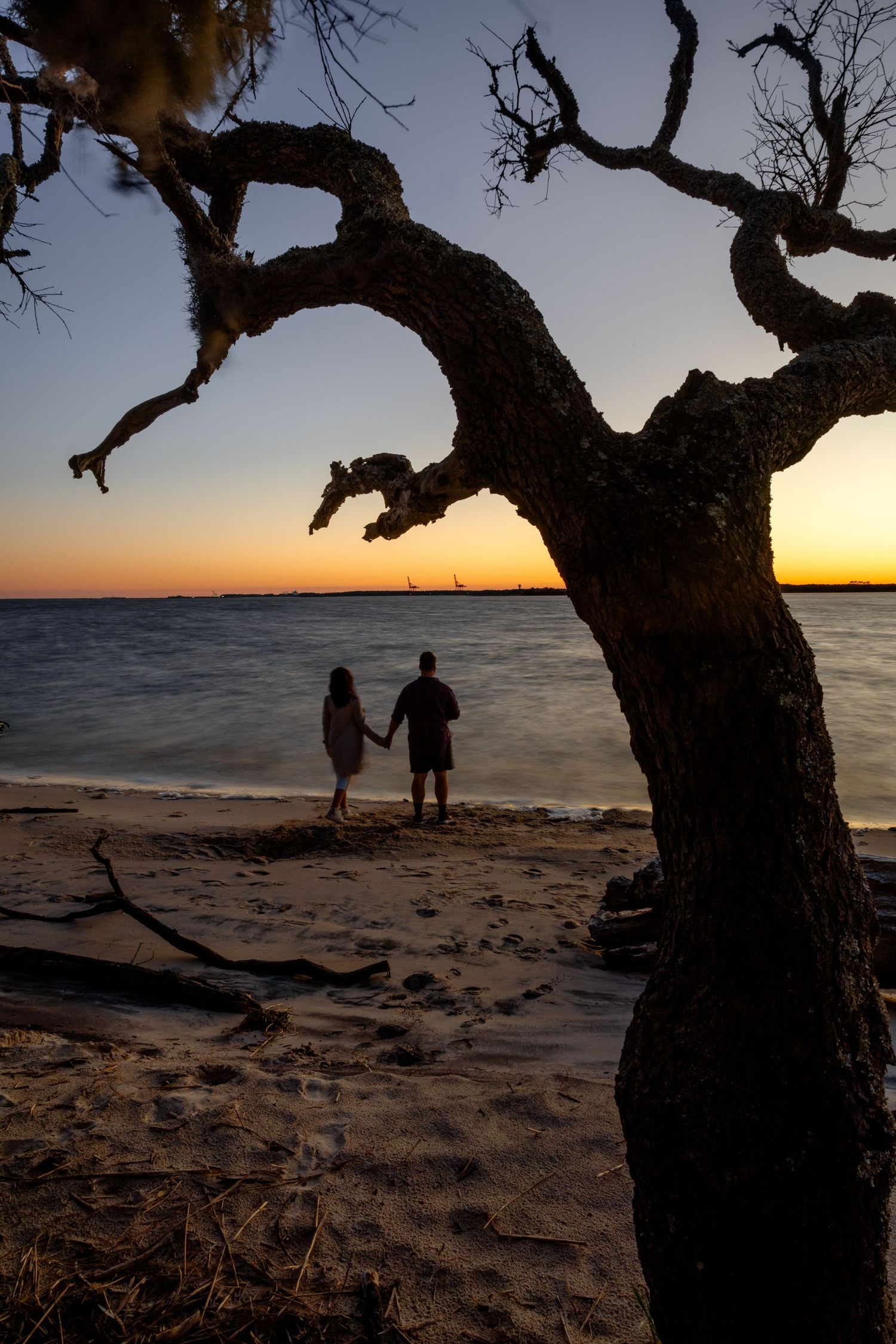 Couple holding hands on sandy beach at sunset, framed by silhouette of gnarled tree with golden horizon over calm water.
