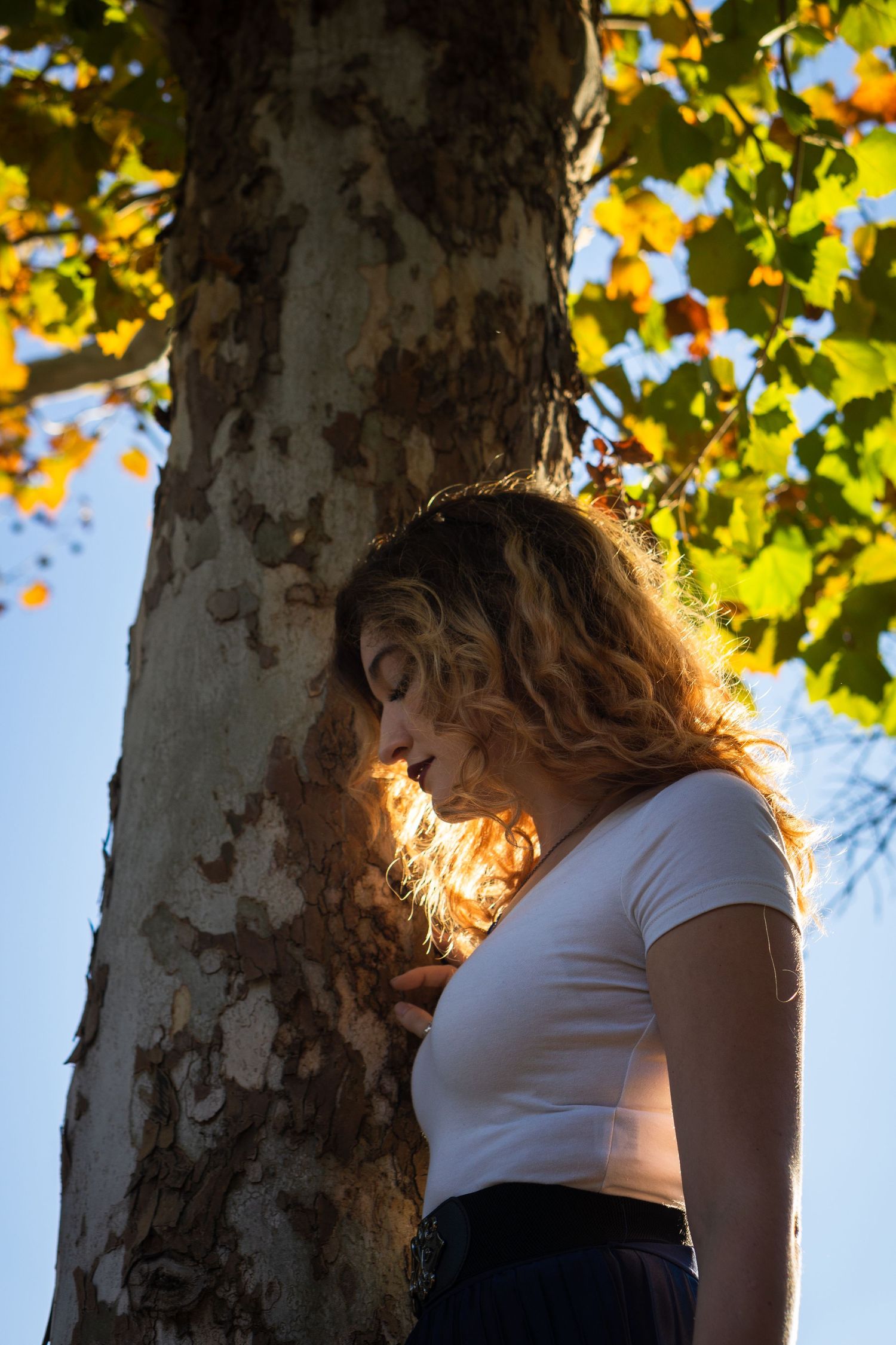 Young woman with curly hair leans against a sycamore tree bathed in golden sunlight with autumn leaves overhead.