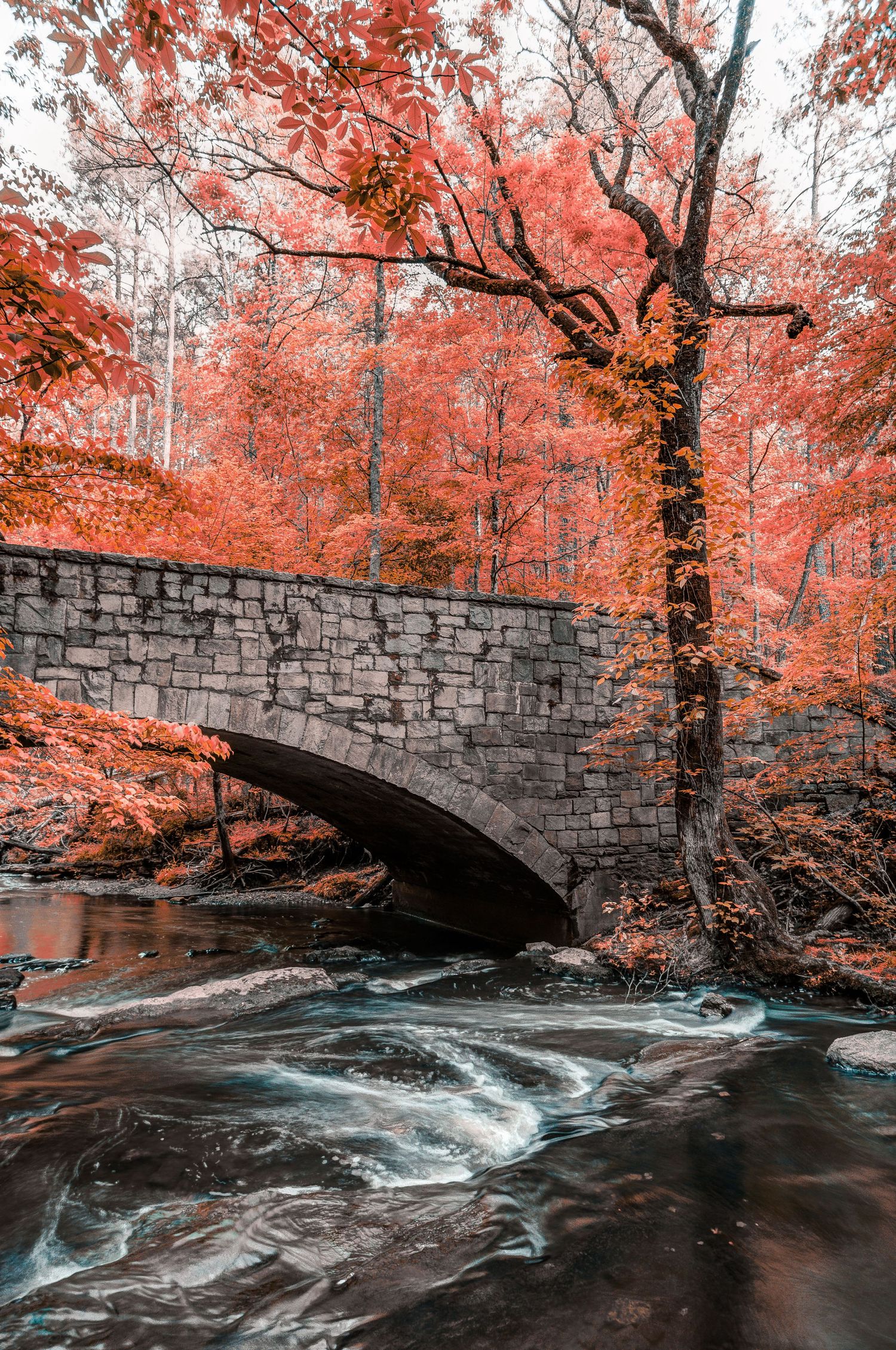 Stone arch bridge over rushing stream surrounded by vibrant red autumn foliage in a forest setting.