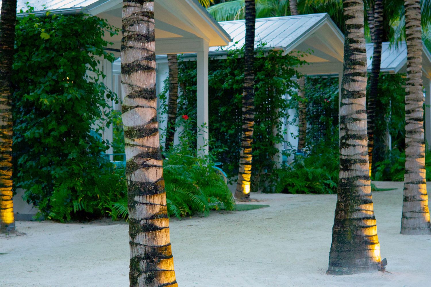 Tropical resort entrance with illuminated palm trees lining a sandy path leading to a white building at dusk.
