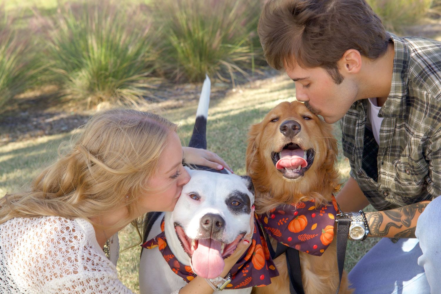 A smiling couple kisses two happy dogs, a white pit bull and golden retriever, outdoors in a sunny park.