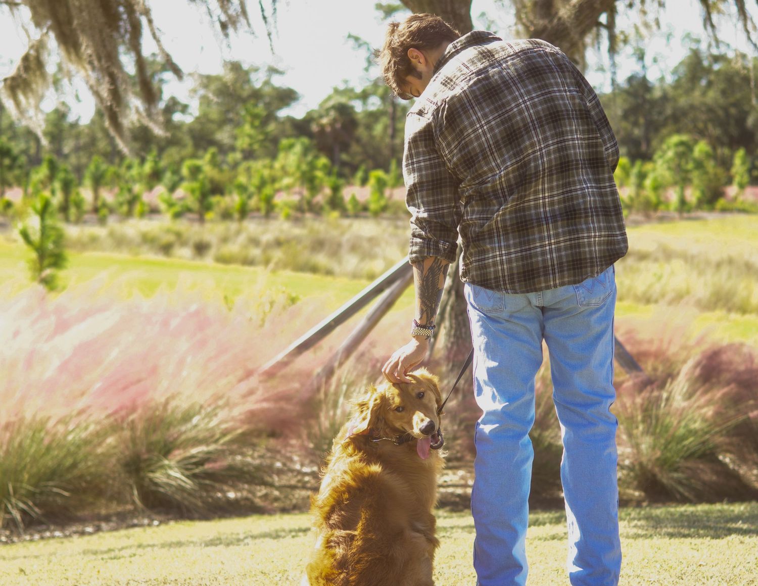 A man in a plaid shirt walks a golden retriever on a leash through a scenic outdoor park setting.