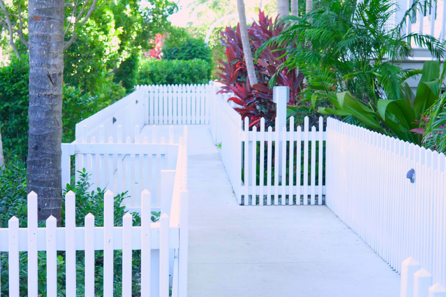 White picket fence lining a sunny tropical garden pathway with lush green and red foliage plants.