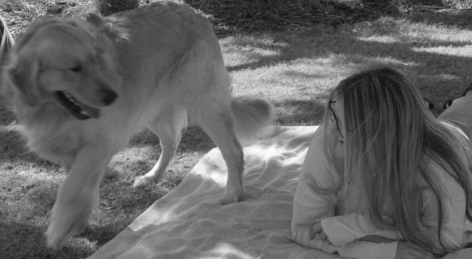 Black and white photo of a woman lying on a blanket while a golden retriever stands nearby.