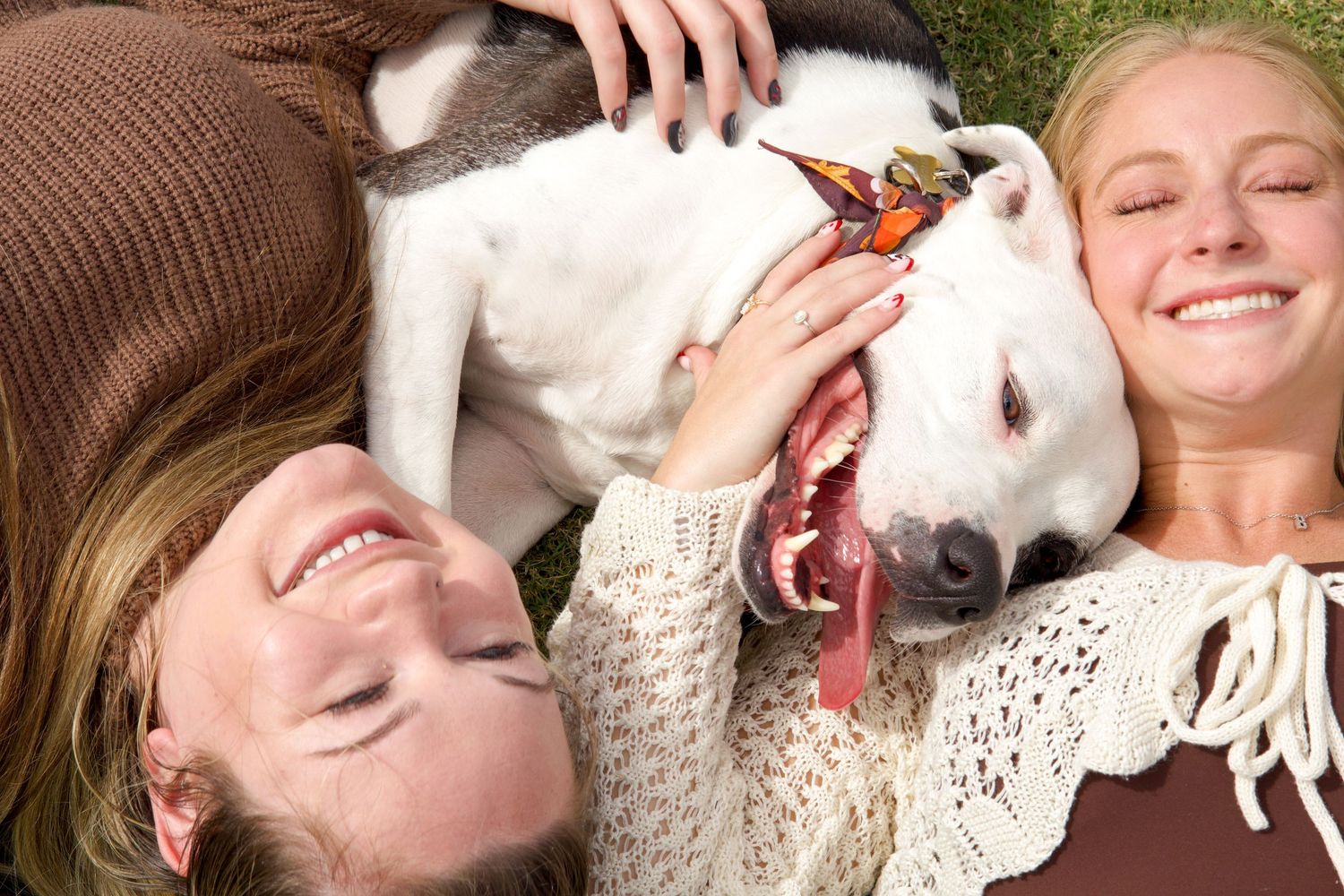 Two smiling women lying on grass with a white dog licking one of their faces on a sunny day.