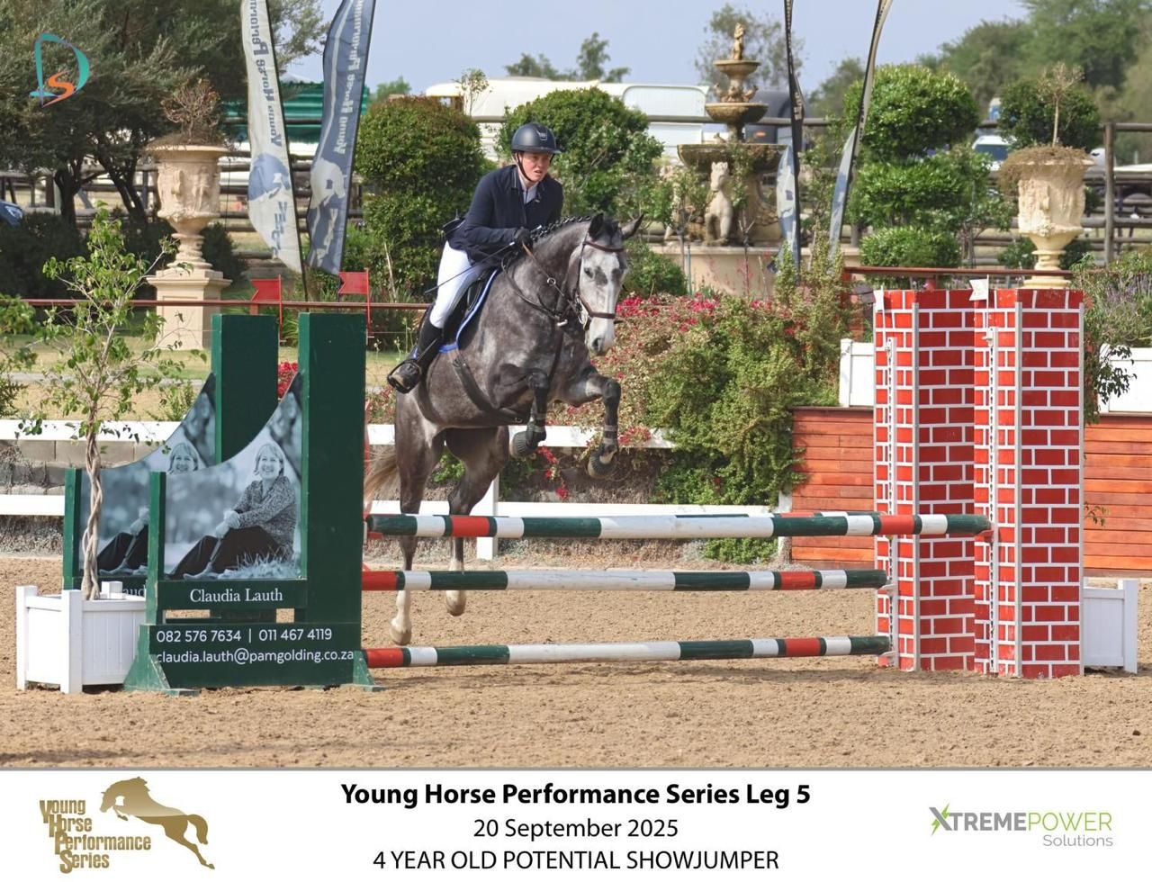 Dark bay horse and rider jumping at Young Horse Performance Series Leg 5 4-year-old potential showjumper class.