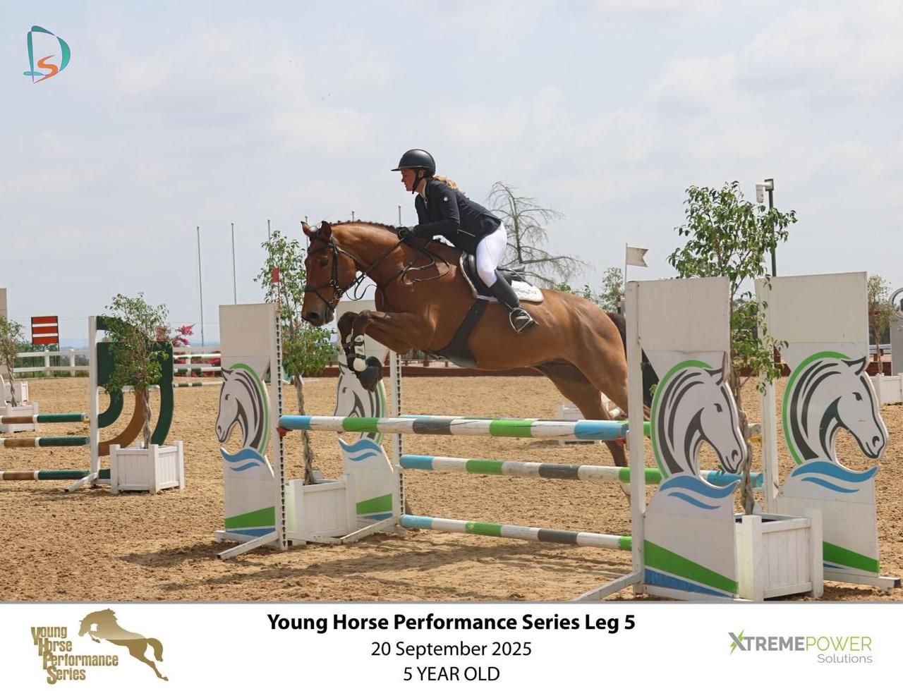 Rider on chestnut horse clearing colorful jump at Young Horse Performance Series Leg 5, September 2025.