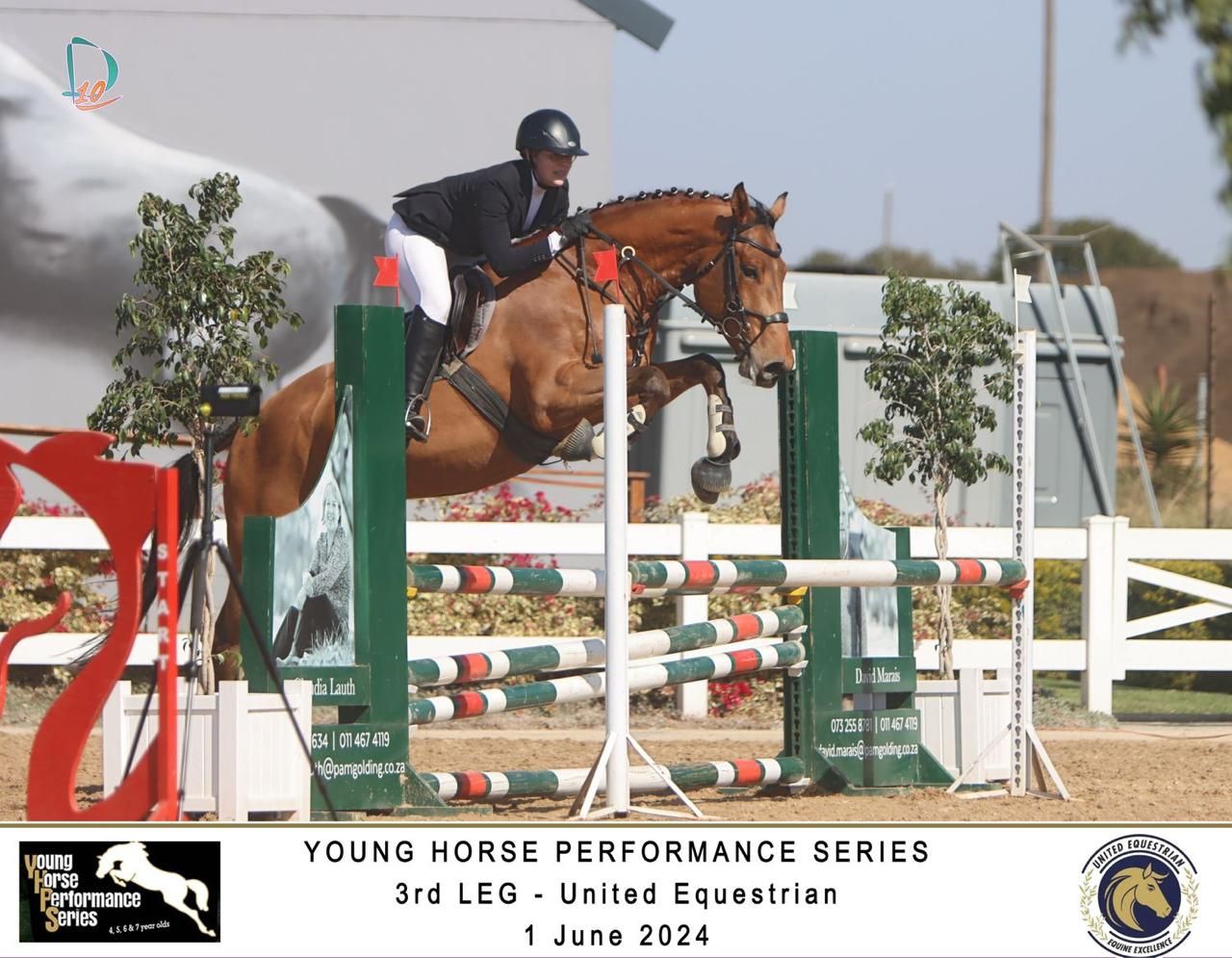 Rider on chestnut horse clearing colorful jump at Young Horse Performance Series show jumping event.