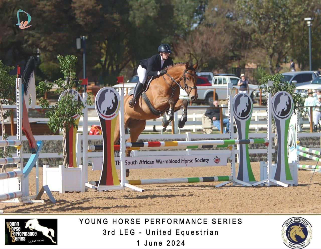 Chestnut horse clearing South African Warmblood Society fence at Young Horse Performance Series event.