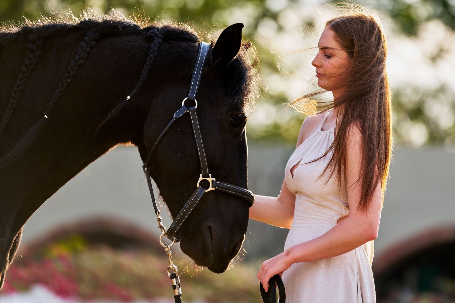 Young woman in a white dress standing closely with a black horse in a warm outdoor setting.