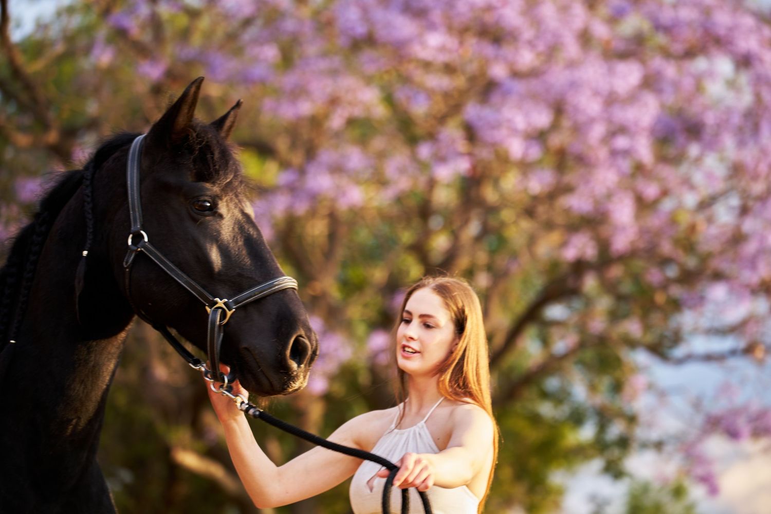 A young woman with long hair stands beside a black horse near a blooming pink cherry tree.