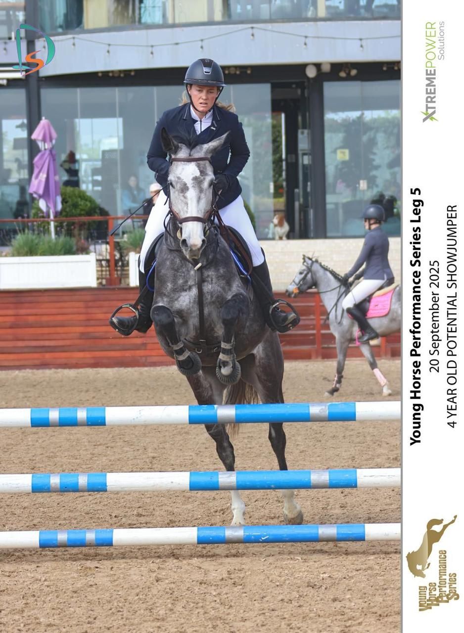 Gray horse and rider clearing blue poles at Young Horse Performance Series Leg 5 4-year-old potential showjumper.