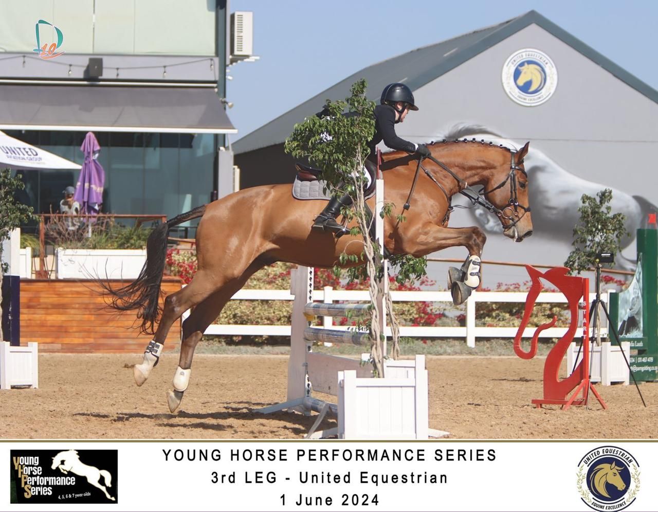 Chestnut horse and rider jumping at Young Horse Performance Series 3rd LEG United Equestrian June 2024.