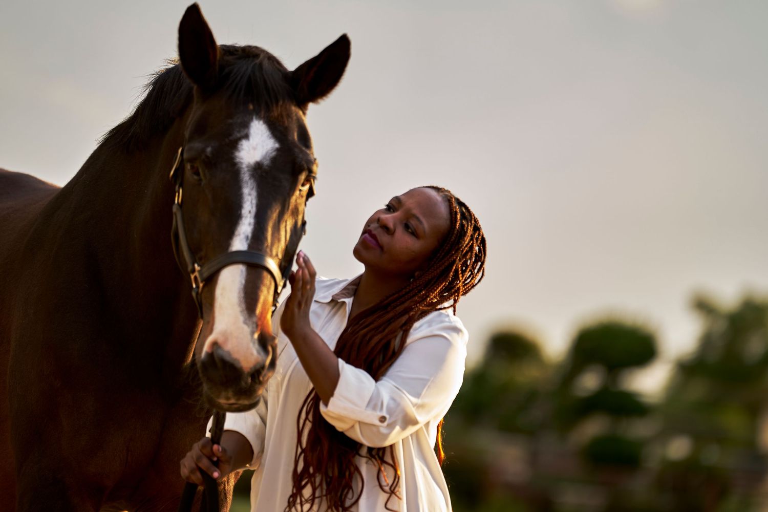 A woman in a white dress tenderly touches a dark brown horse's face at sunset.