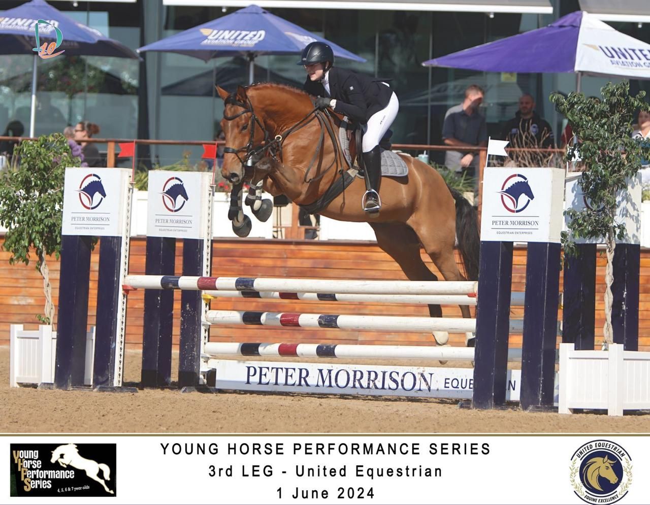 Horse and rider jumping Peter Morrison Equestrian fence at Young Horse Performance Series June 2024.