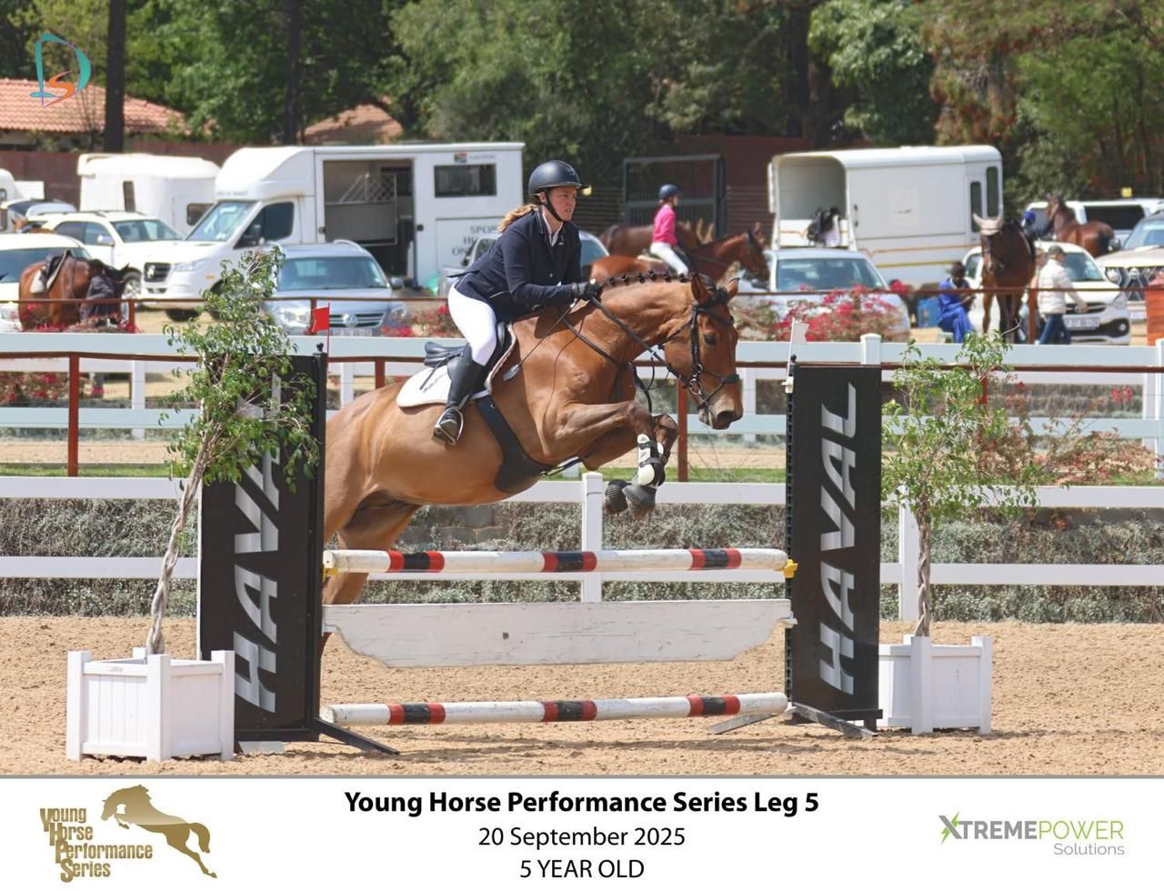 Horse and rider jumping HAVAL-branded fence at Young Horse Performance Series Leg 5 September 2025.