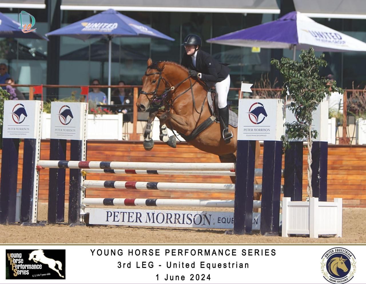 Chestnut horse jumping Peter Morrison-sponsored fence at Young Horse Performance Series United Equestrian.
