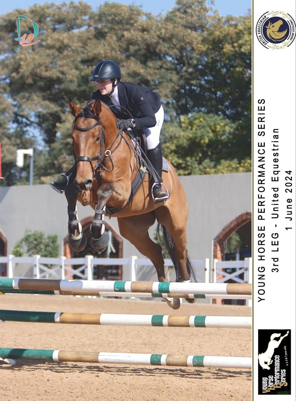 Rider in black jacket on chestnut horse jumping fence at Young Horse Performance Series June 2024.