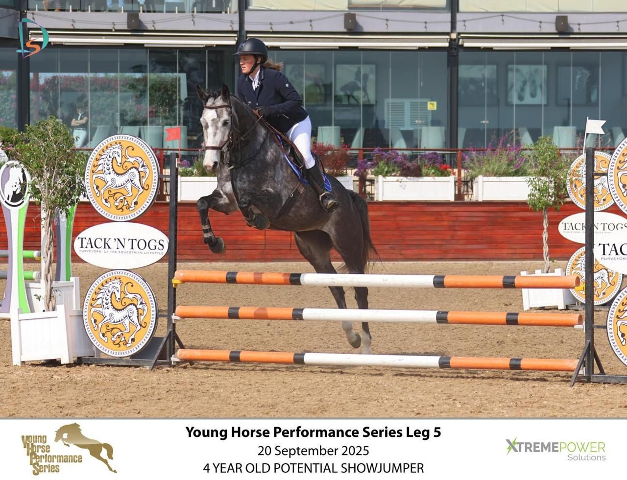 Rider on gray horse soaring over striped jump at Young Horse Performance Series Leg 5 showjumping competition.