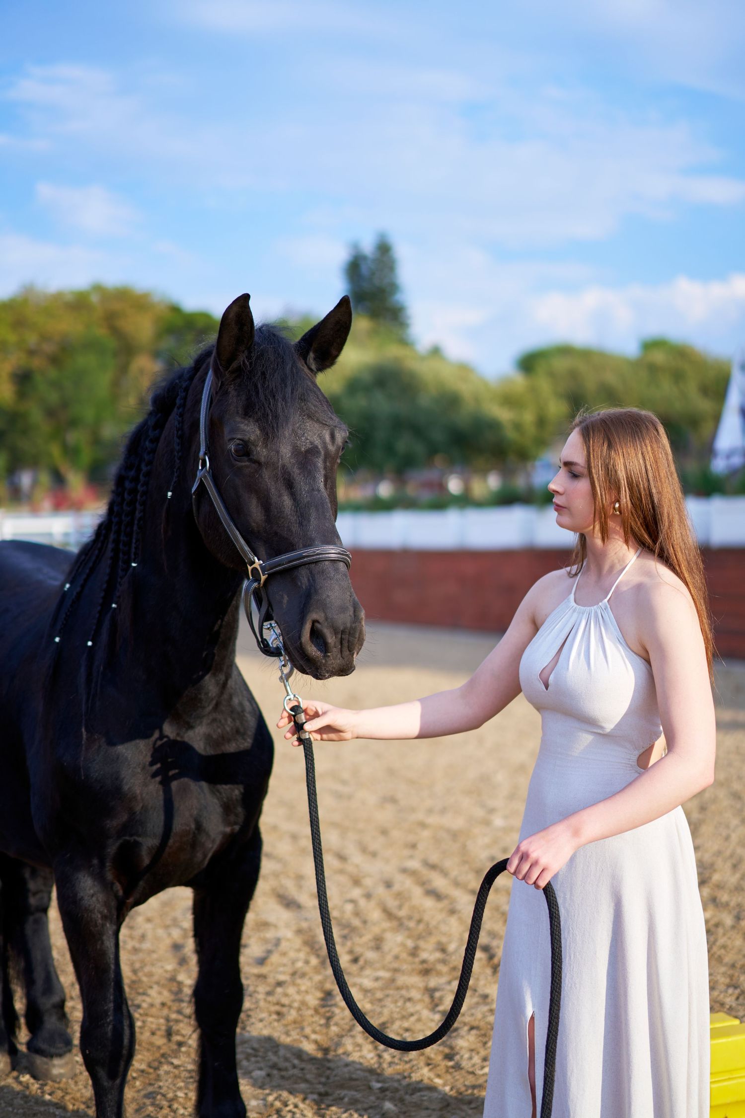 A young woman in a white dress holds the reins of a black horse at an equestrian arena.