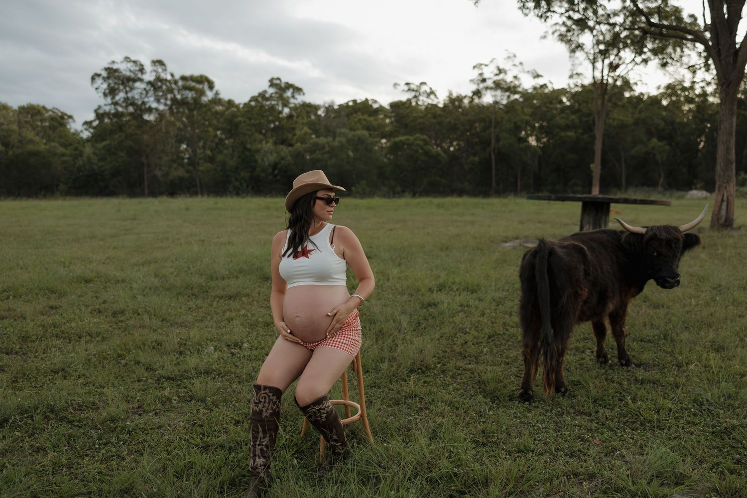 Pregnant woman in cowboy hat and pink outfit poses in green field with black cow in rural Australia. Bundaberg Photographer