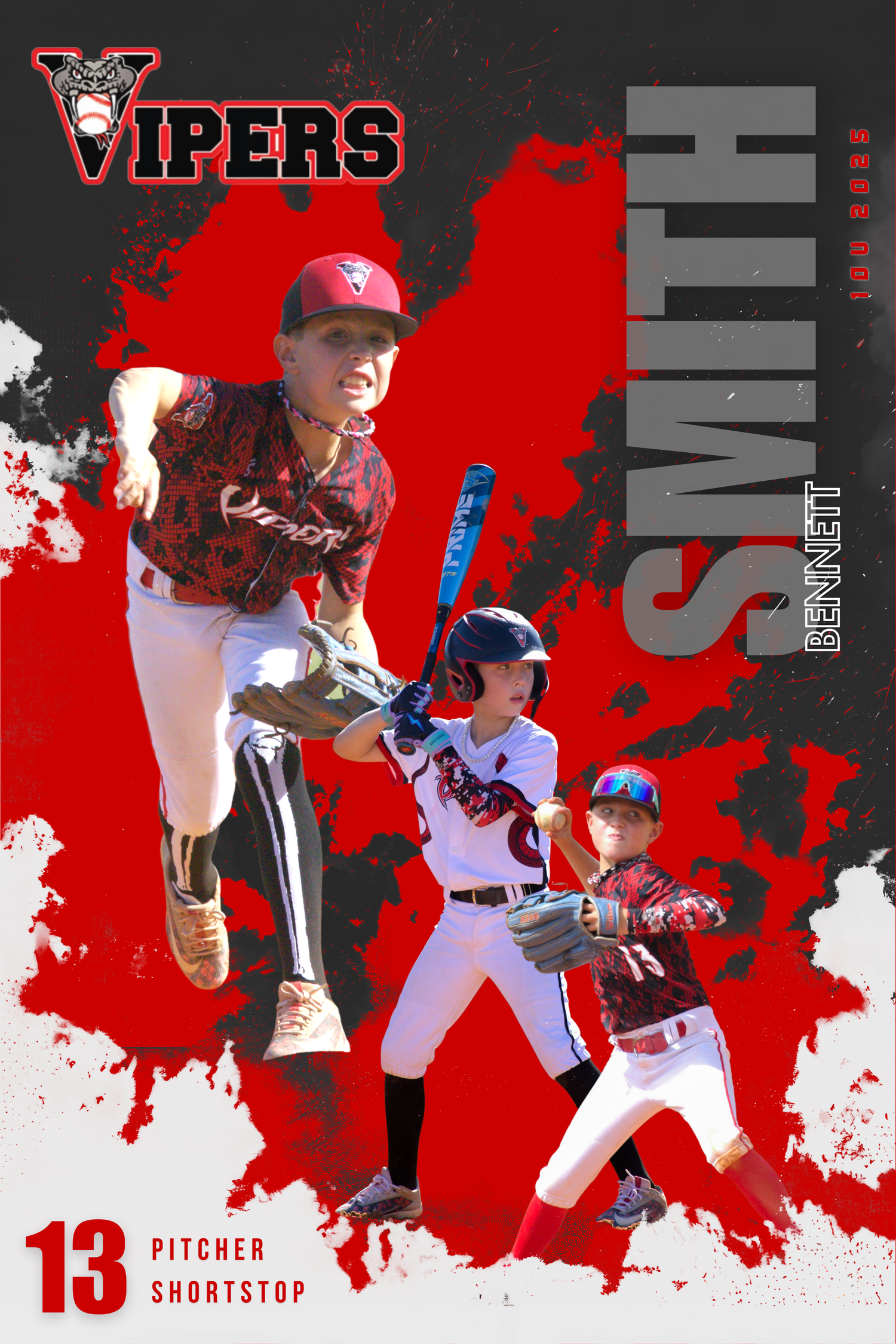 Baseball team poster featuring Vipers players in action poses against red background.