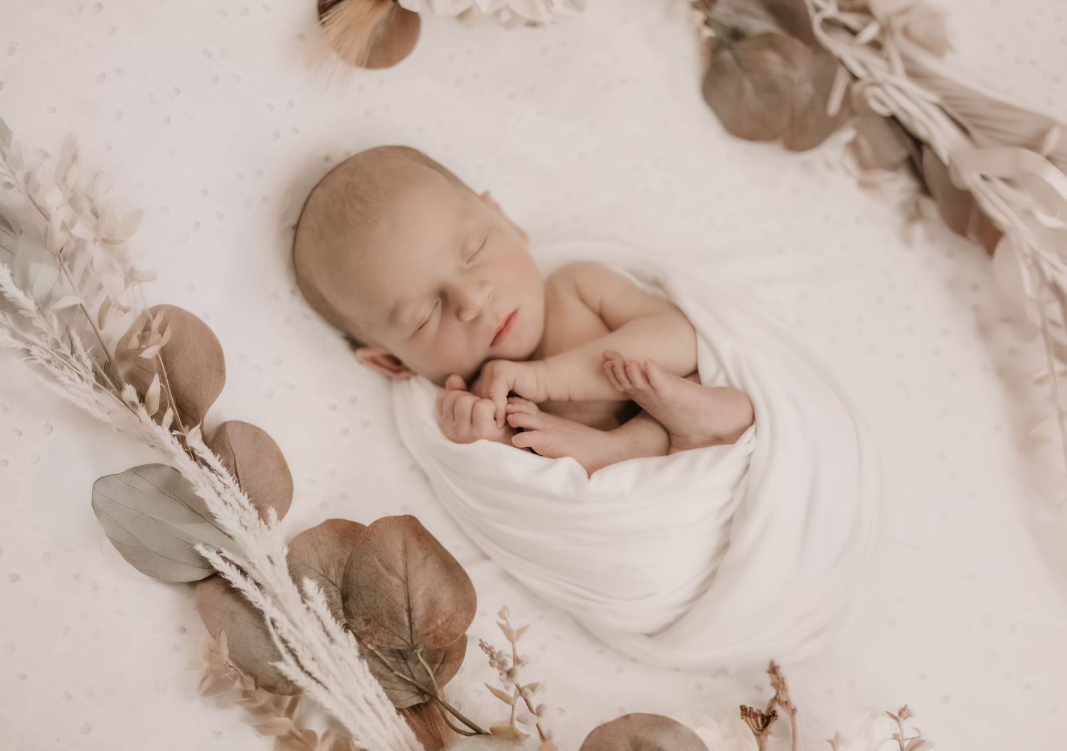 Peaceful newborn baby swaddled in white wrap surrounded by dried eucalyptus leaves.