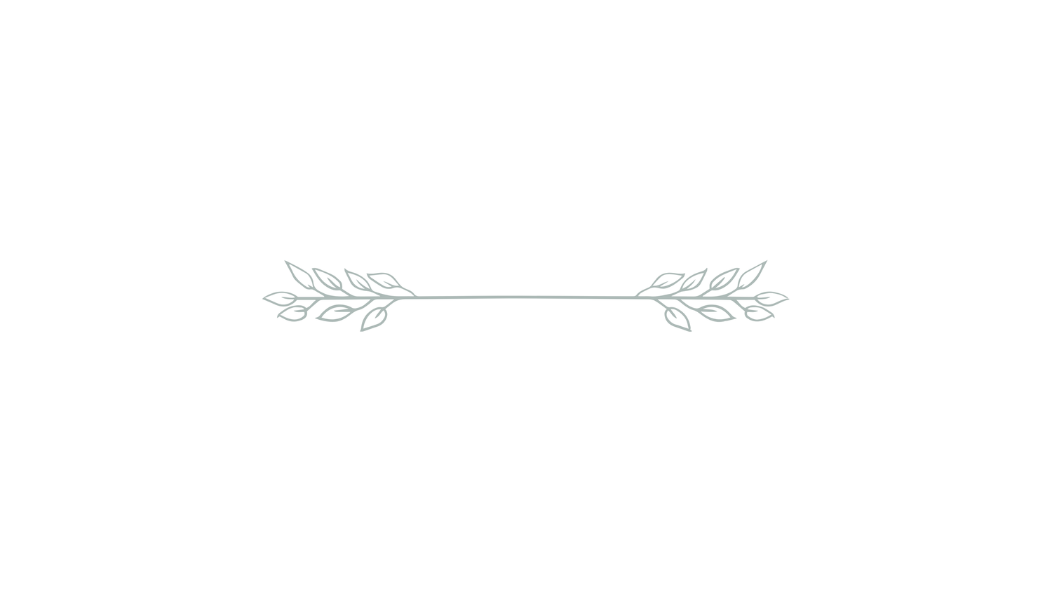 Delicate botanical divider with hand-drawn olive branches and leaves in soft sage green, perfect for elegant wedding stationery.