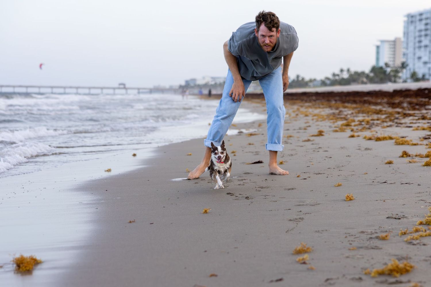 family and pet photography