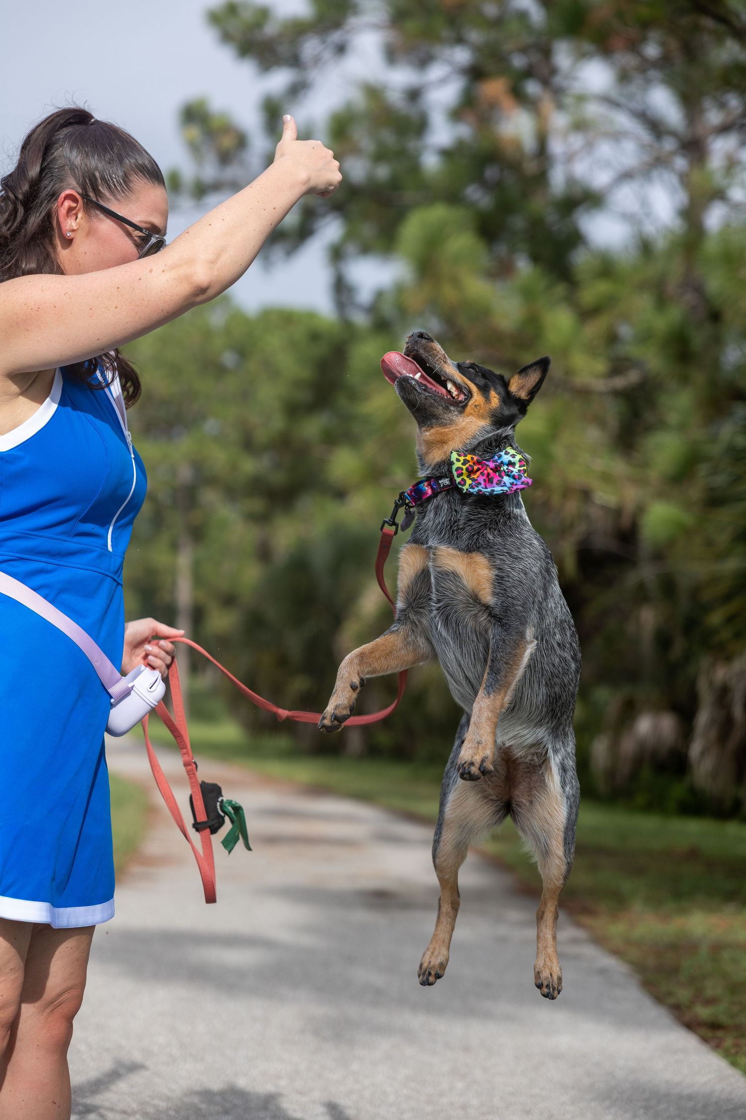 pet photography