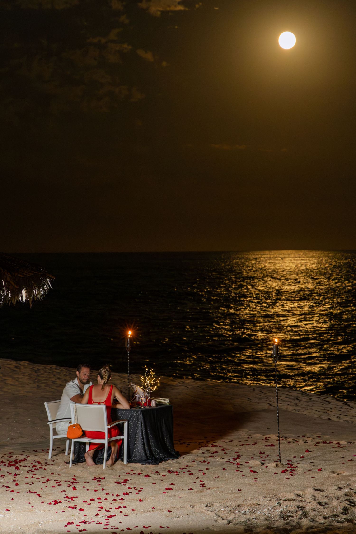 Romantic beach dinner setup with two chairs and rose petals scattered on sand under full moon over ocean at night.