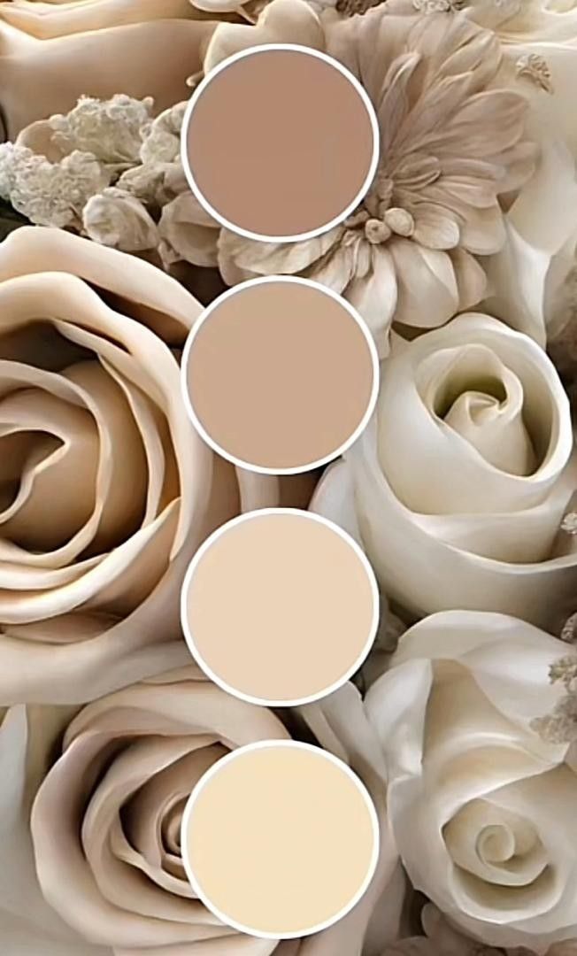 A floral color palette featuring four neutral swatches from warm tan to soft cream, displayed over roses in beige and ivory tones.