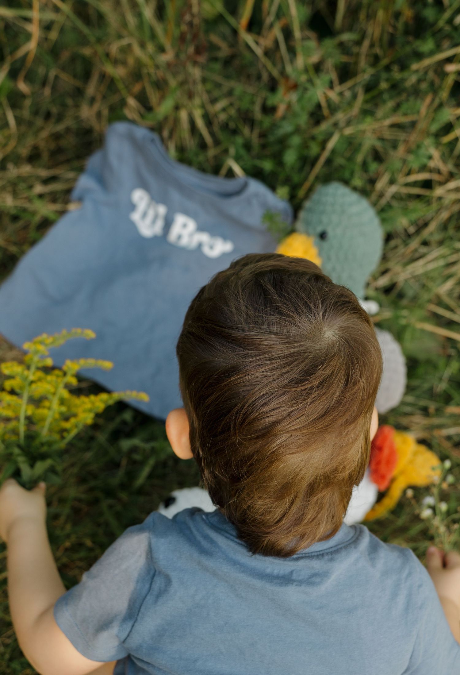 Toddler boy sitting in grass with a blue Lil Bro shirt and stuffed animal toys outdoors.