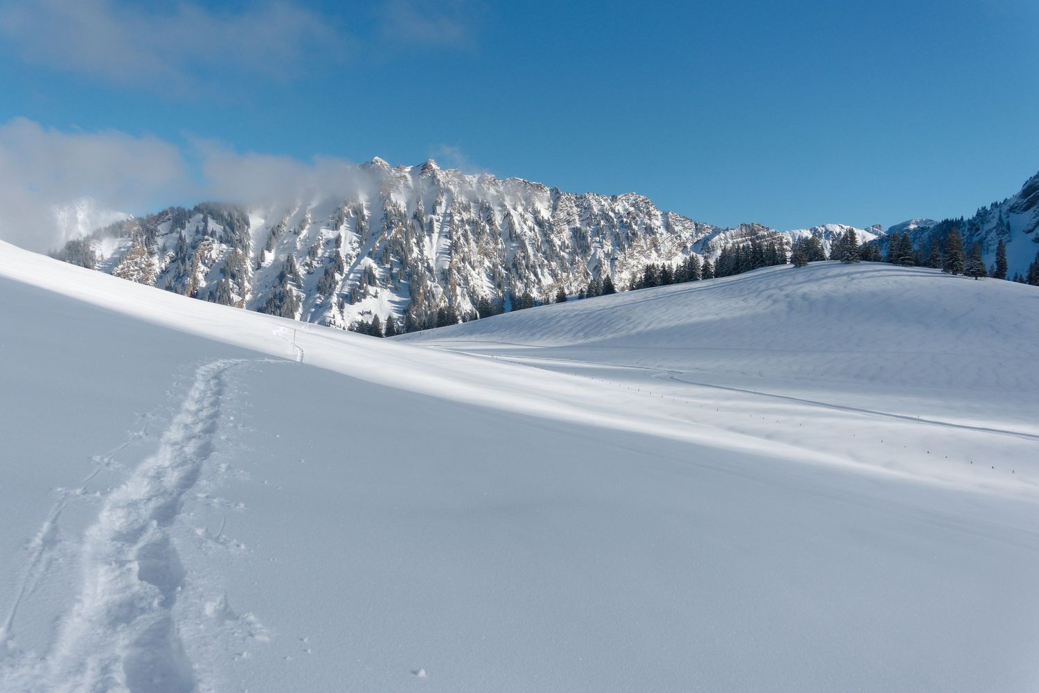 Trace de raquettes, Les Mosses (Vaud)