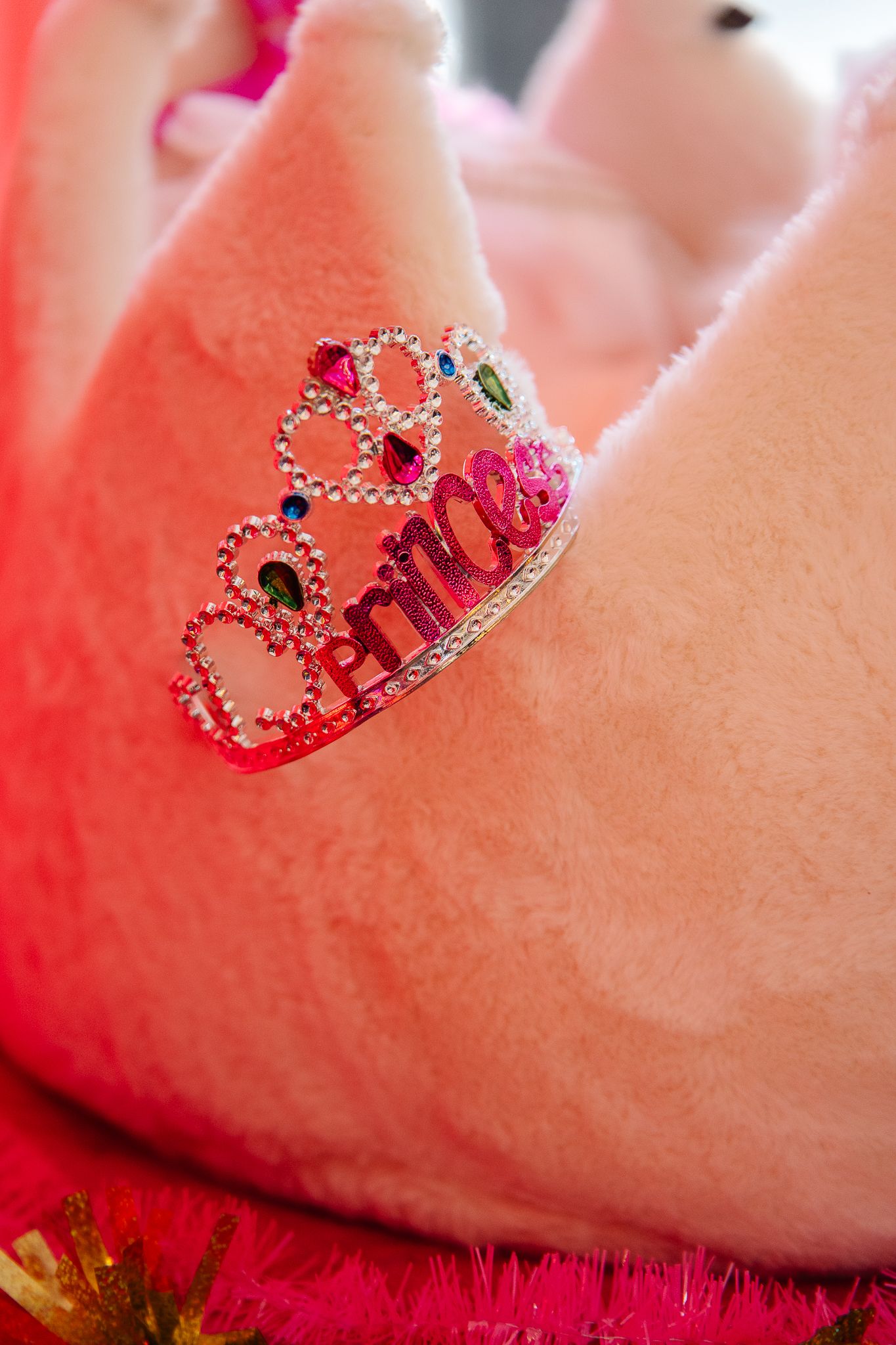 Pink fluffy stuffed animal wearing a rhinestone princess tiara crown with colorful gemstones at a birthday celebration.