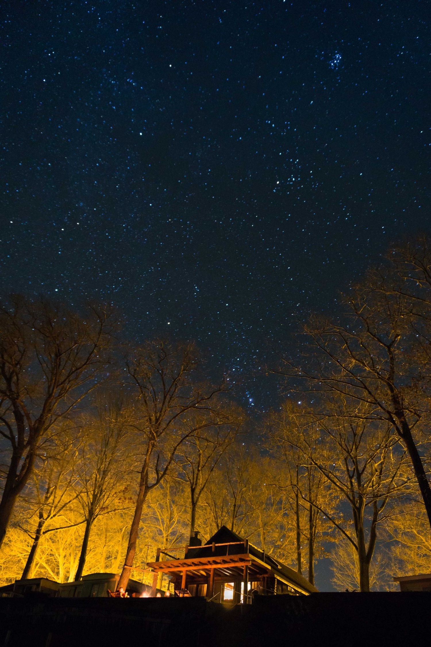 Starry night sky over illuminated cabin surrounded by bare trees in golden light.