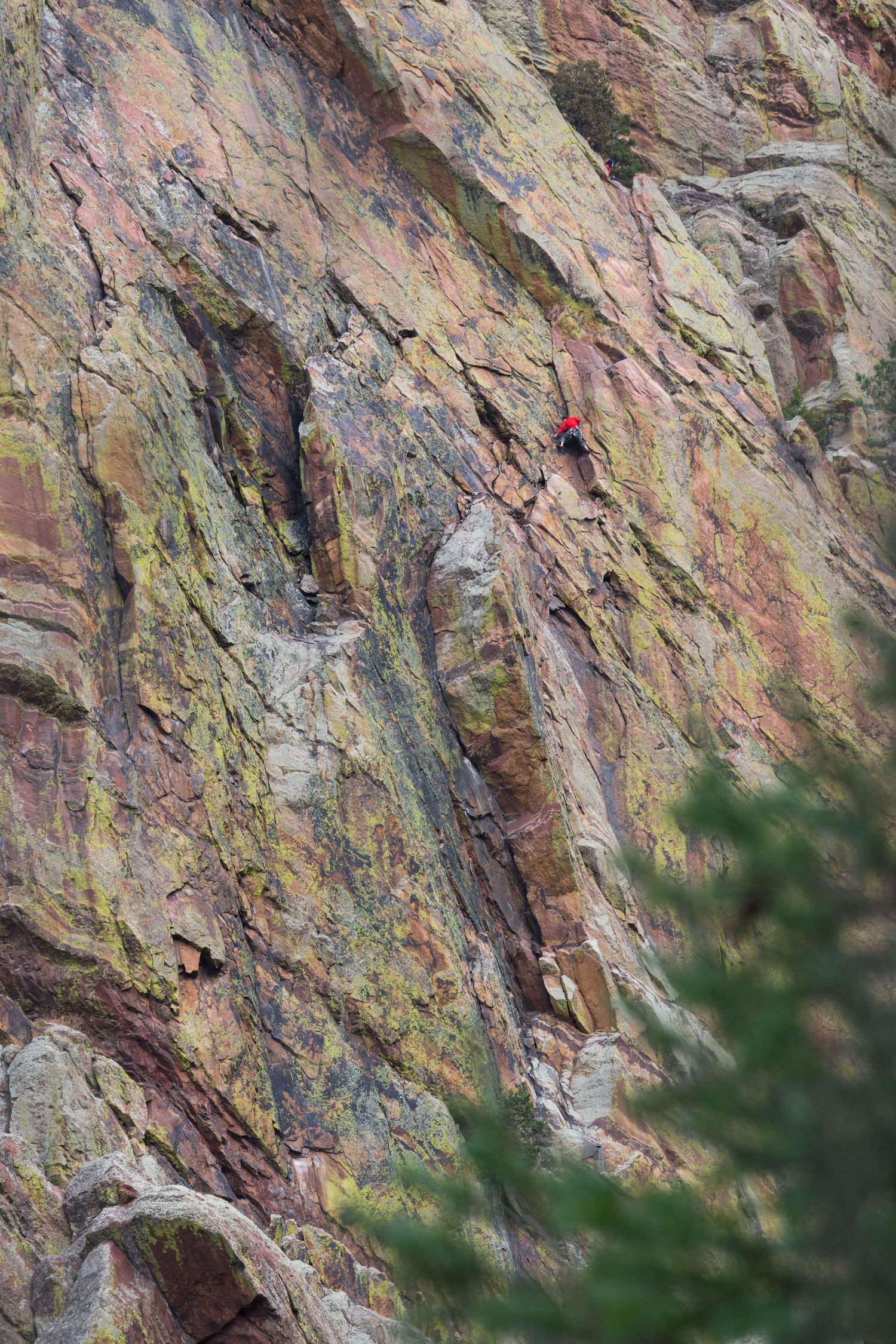 Rock climber in red jacket scaling colorful steep cliff face with pine tree in foreground.