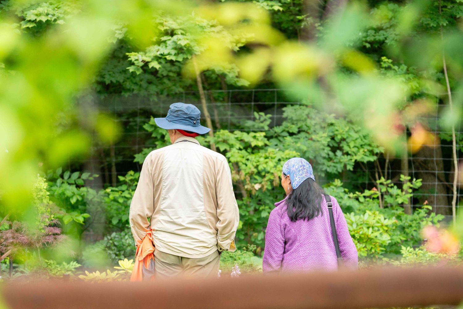 Elderly couple walking hand in hand through a lush green garden path surrounded by foliage.