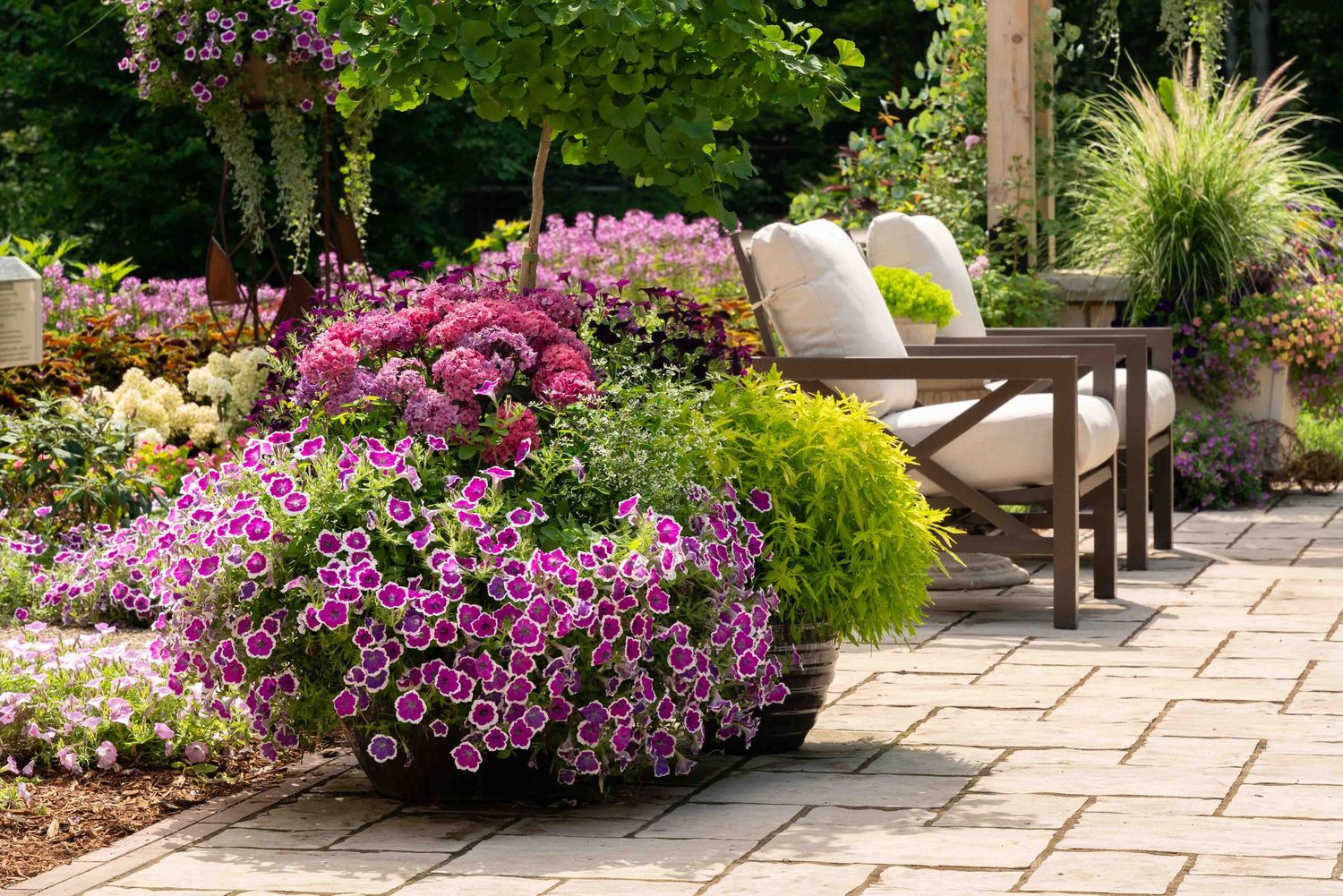Lush garden patio with vibrant purple petunias in planters, wooden furniture, and colorful flowering shrubs on a brick pathway.