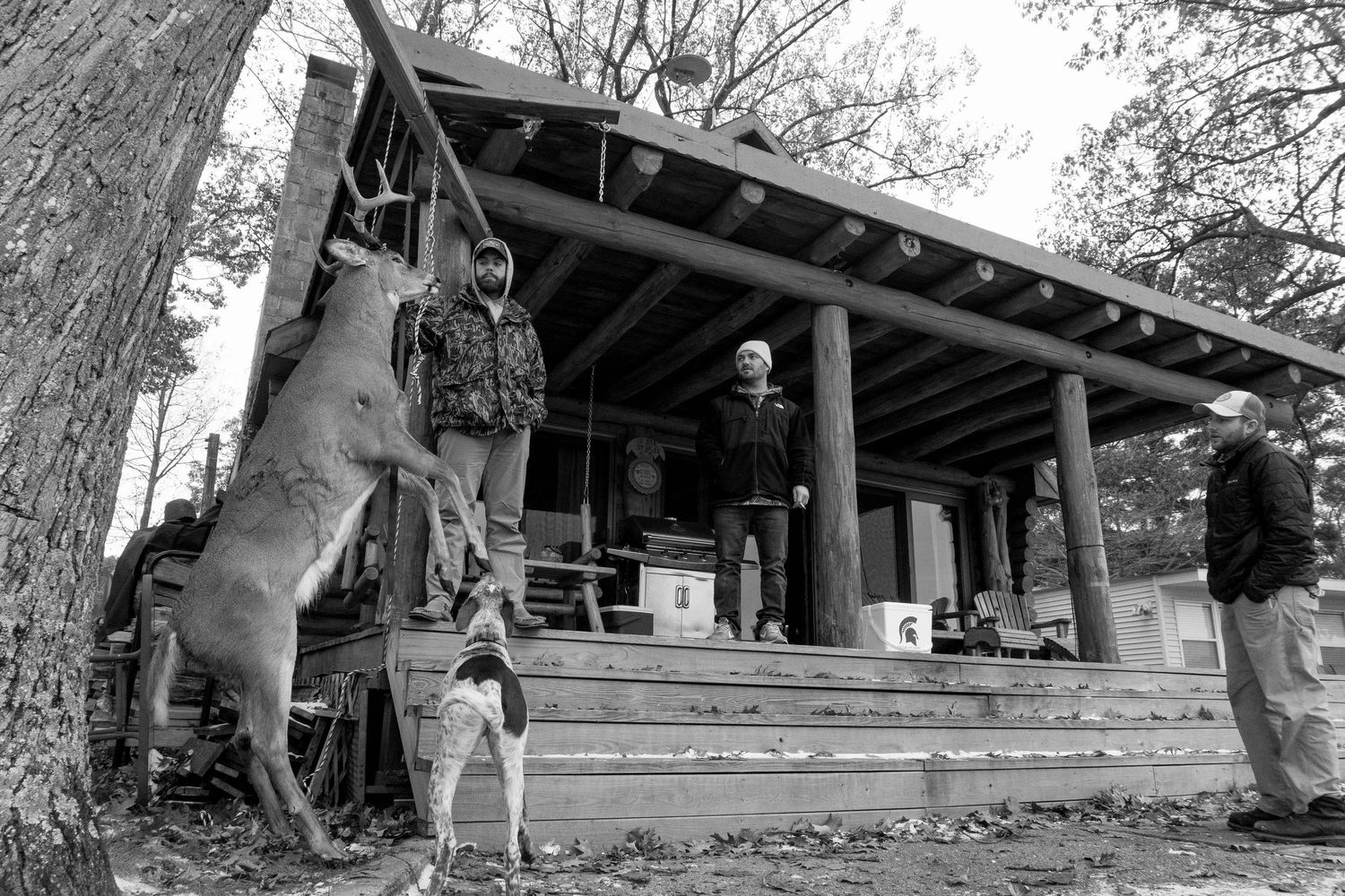 Hunting dogs and men gathered outside a rustic wooden cabin in black and white.