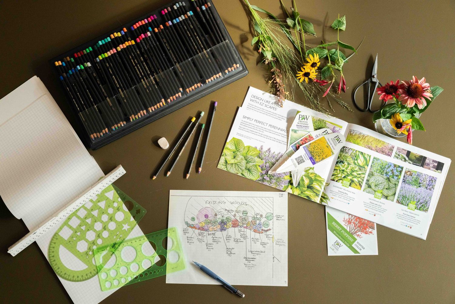 Flat lay of garden design tools including colored pencils, plant catalogs, and a landscape sketch.