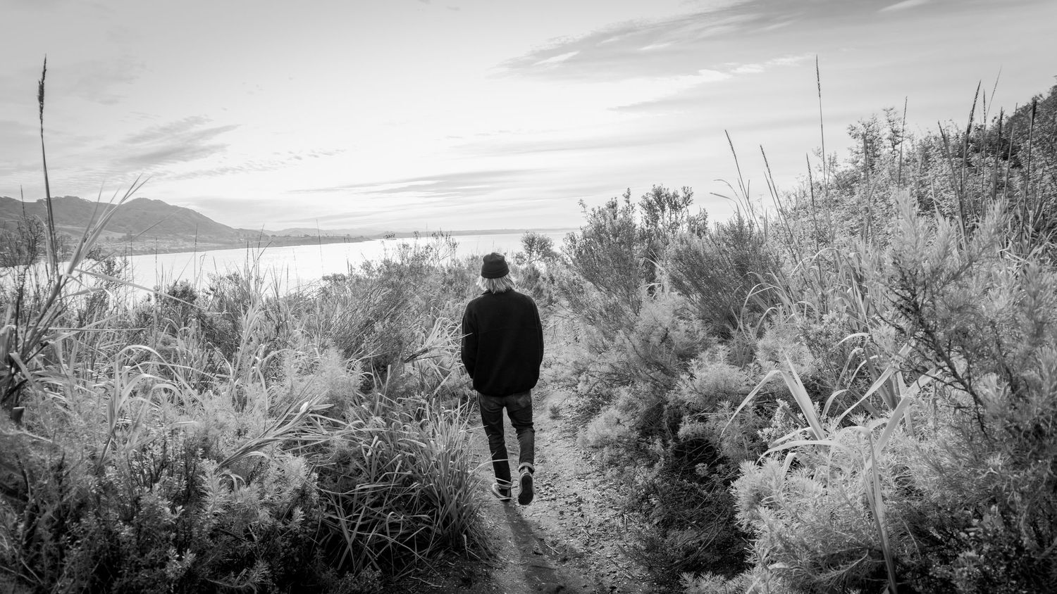 Man walks alone on a narrow trail through shrubs toward a scenic lake vista.