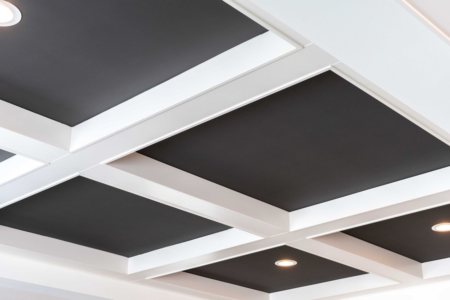 Modern black and white coffered ceiling with recessed lighting and geometric grid pattern.