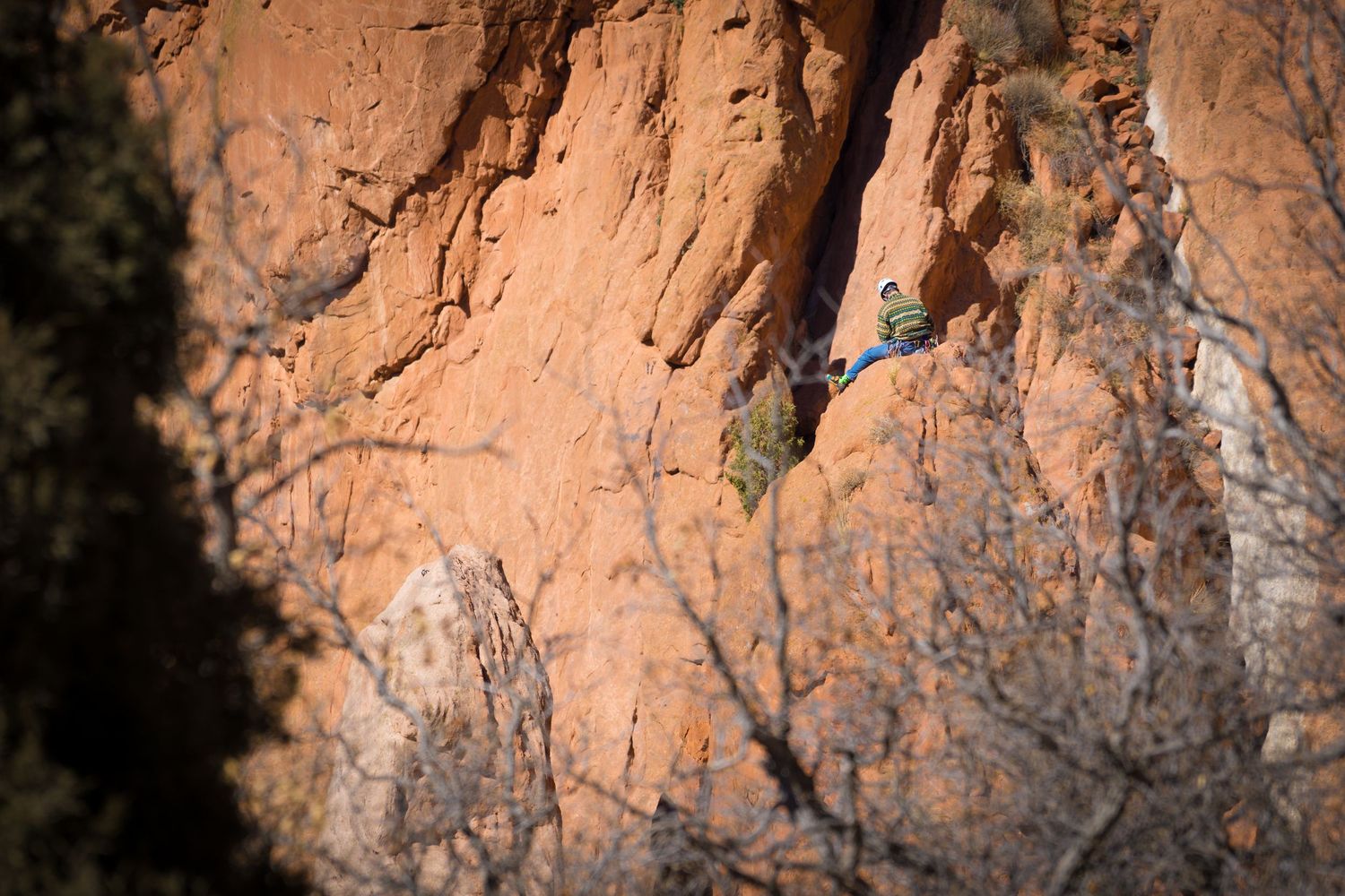 Rock climbers scale a tall red sandstone cliff face framed by bare tree branches.
